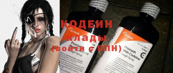 молекула духа Белокуриха