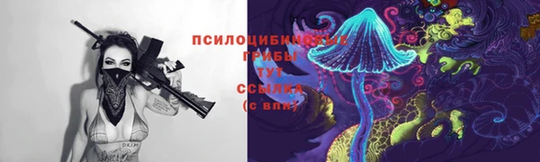 молекула духа Белокуриха