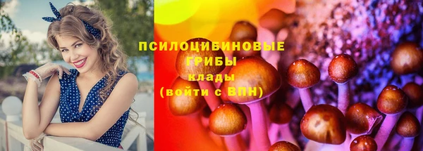 молекула духа Белокуриха