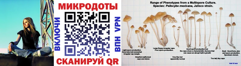 Галлюциногенные грибы Magic Shrooms Красный Кут